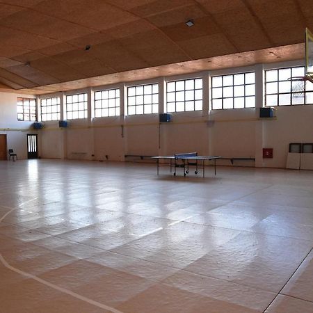 Mm Narcis Panzió Vlasina Rid Kültér fotó