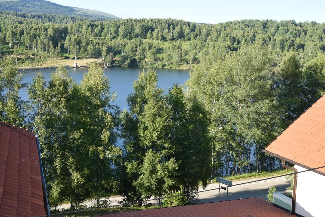 Mm Narcis Panzió Vlasina Rid Kültér fotó