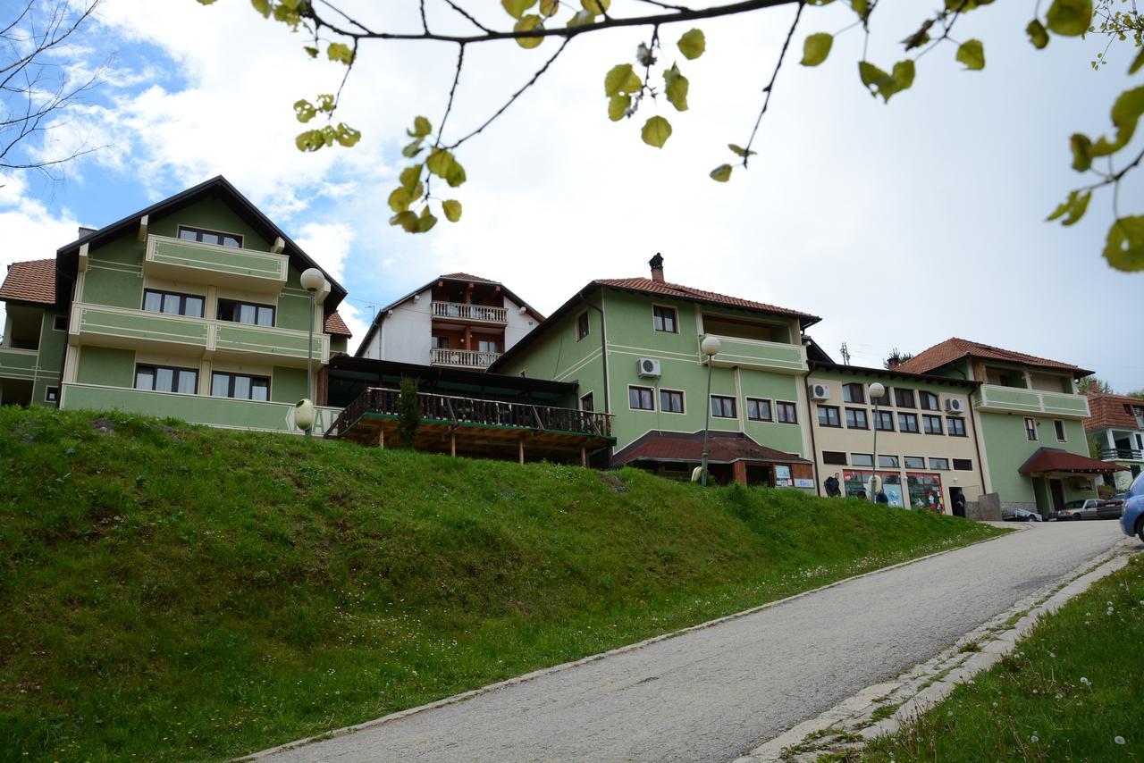 Mm Narcis Panzió Vlasina Rid Kültér fotó