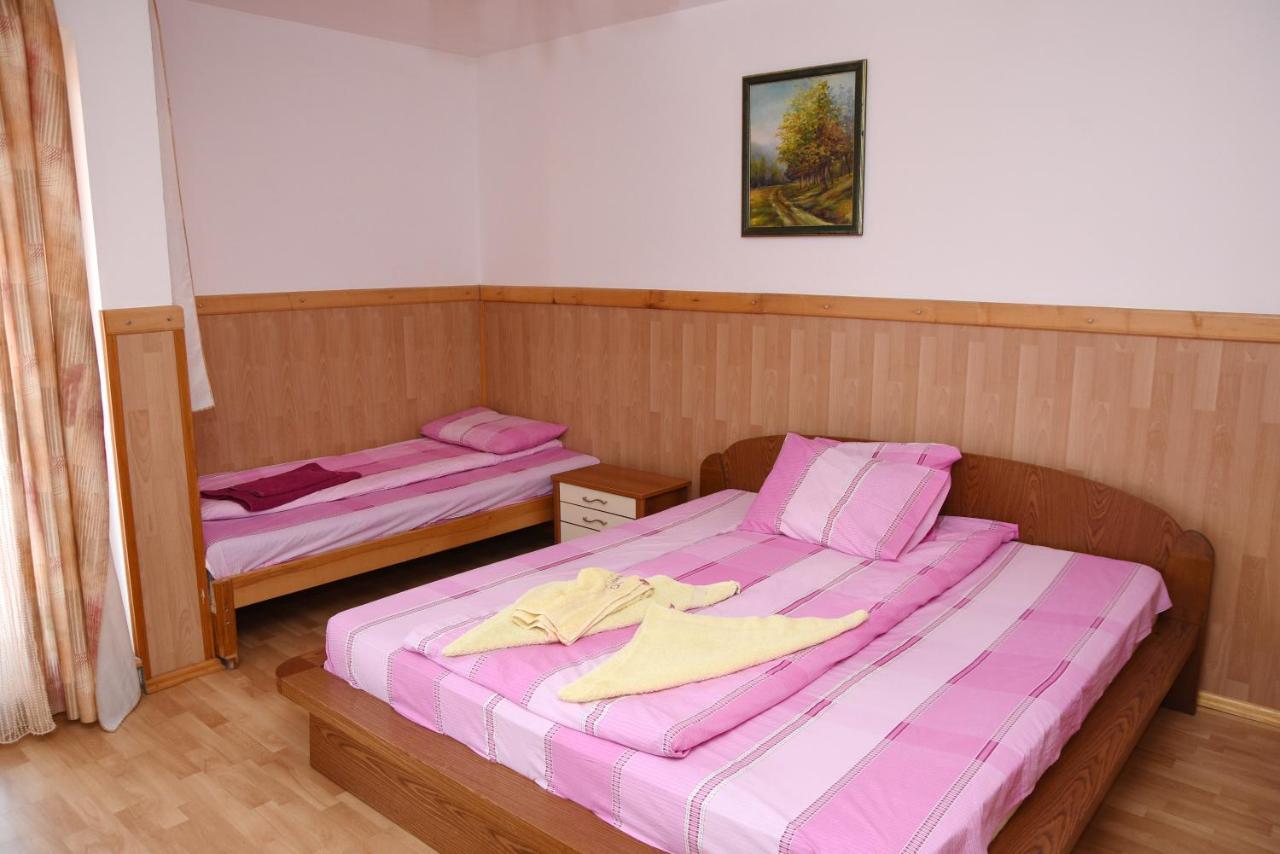 Mm Narcis Panzió Vlasina Rid Kültér fotó